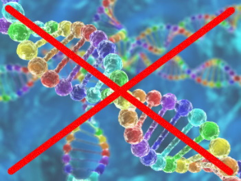 L'ADN n'existe pas